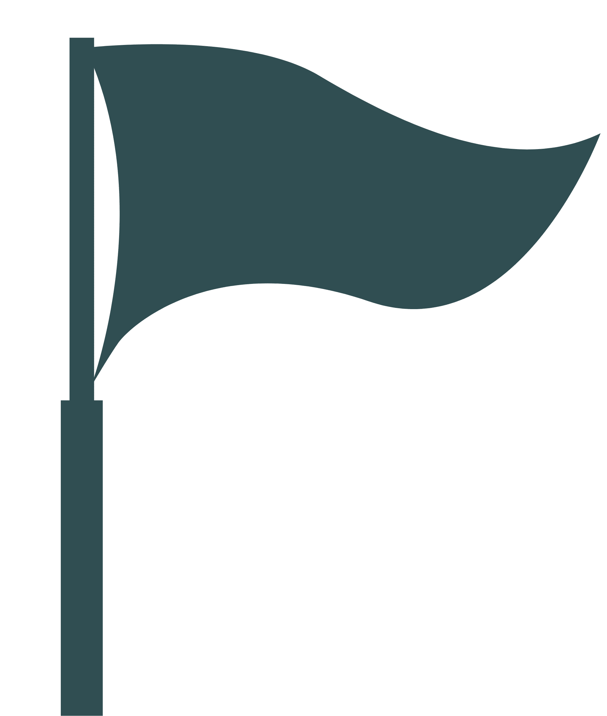 Promo Drapeaux